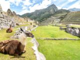 Inca Trail to Machu Picchu in 1 Day