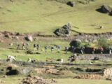 Lares to Machu Picchu 4-Day Trek