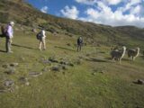 Lares to Machu Picchu 4-Day Trek