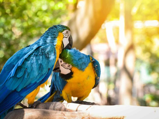 Eco-Jungle Program 2 Days / 1 Night