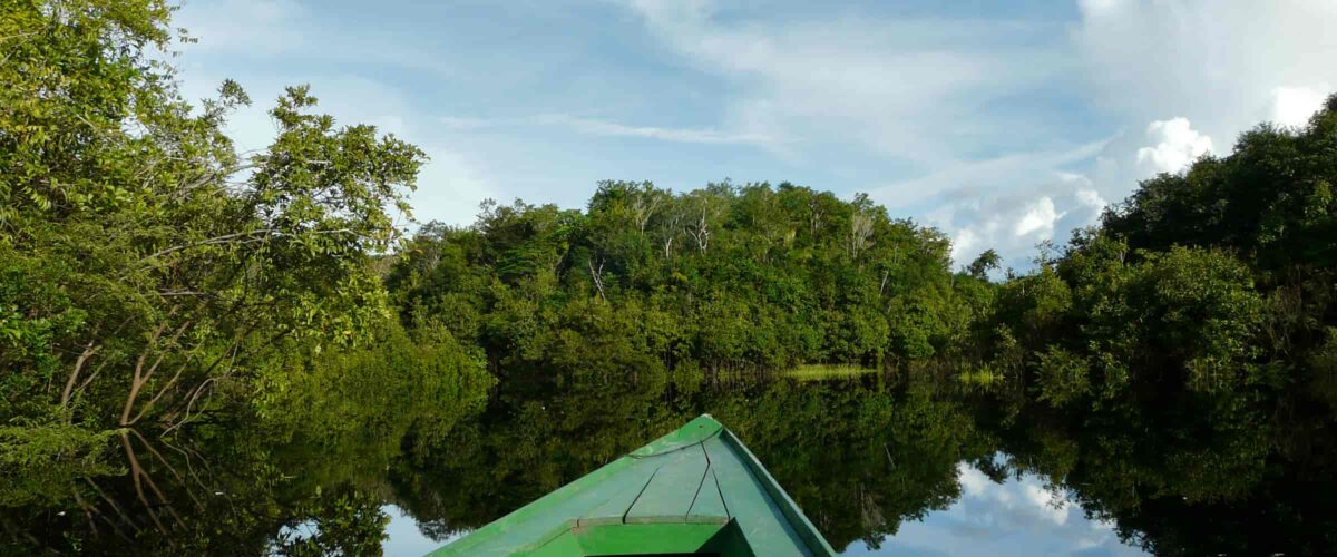 Manu Jungle Tour – 4 Days and 3 Nights