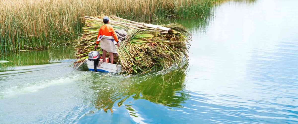 Uros and Taquile Islands Tour | 1 Day