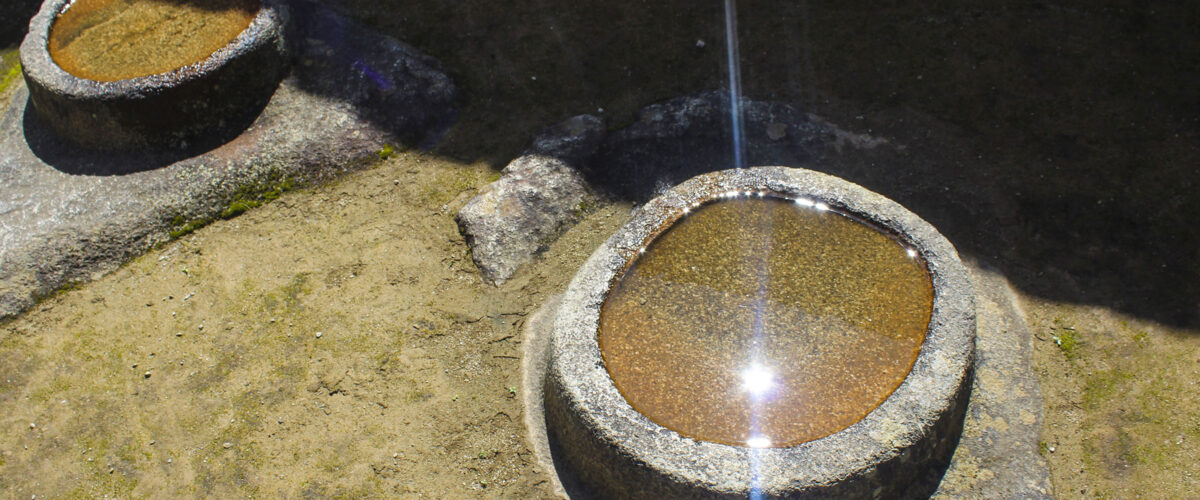Sacred Valley + Machu Picchu Tour 2 Days