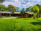 Manu Jungle Tour – 4 Days and 3 Nights