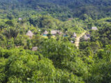 Manu Jungle Tour – 4 Days and 3 Nights