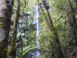 Manu Jungle Tour – 4 Days and 3 Nights