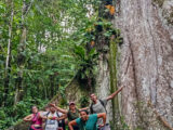 Manu Jungle Tour – 4 Days and 3 Nights