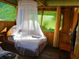 Manu Jungle Tour – 4 Days and 3 Nights