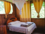 Manu Jungle Tour – 4 Days and 3 Nights