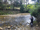 Manu Jungle Tour – 4 Days and 3 Nights