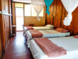Manu Jungle Tour – 4 Days and 3 Nights