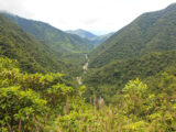 Manu Jungle Tour – 4 Days and 3 Nights