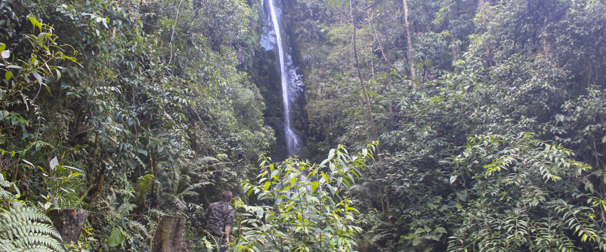 Manu Jungle Tour – 4 Days and 3 Nights