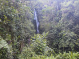 Manu Jungle Tour – 4 Days and 3 Nights
